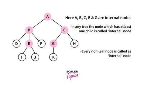 Binary Tree In C Types And Implementation Scaler Topics