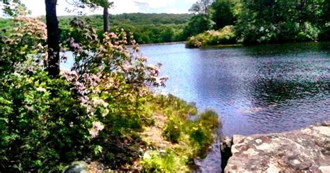 Apartment is two bedroom where host will stay as well but you are free to use the common areas. Best Camping in and Near Harriman State Park