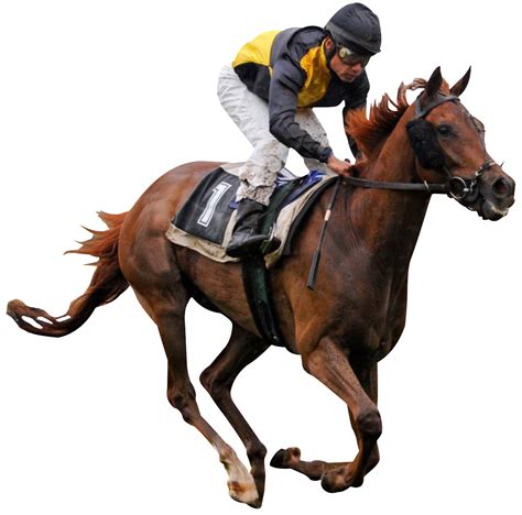 Horse Riding Clipart Transparent Background Garret Johnston