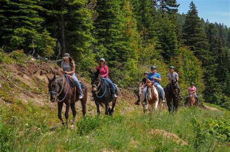 Giddy Up Explore Idahos Trails On Horseback