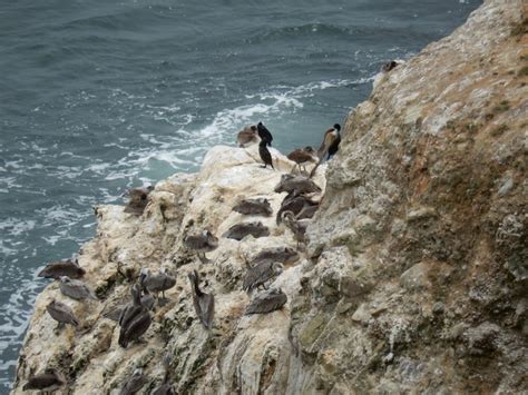 We did not find results for: Chimney Rock - Point Reyes - HIKING AUTISM