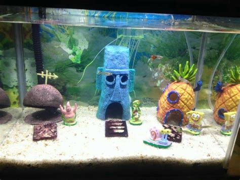 Hiasan aquarium ini sangat cocok dijadikan dekorasi di bagian dasar karena memiliki kepadatan dan bobot 2. 21+ Hiasan Rumah Aquarium, Inspirasi Top!