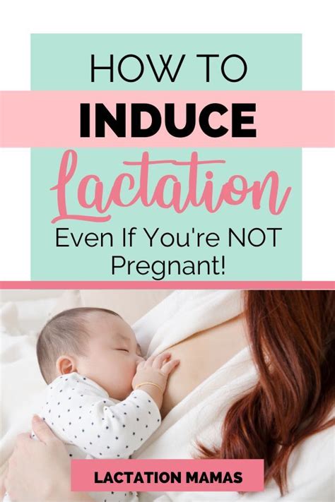 How Do You Induce Lactation If You Re Not Pregnant Lactation Mamas Induced Lactation