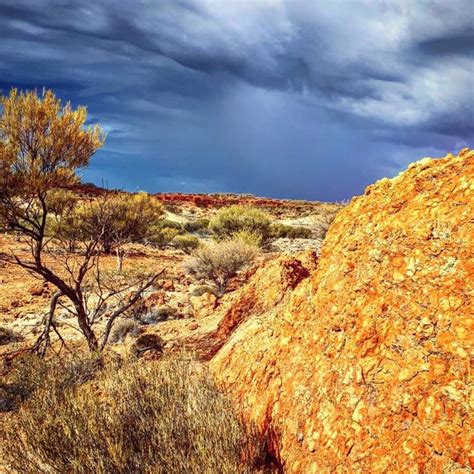 Great Victoria Desert Adventure Explore Wa