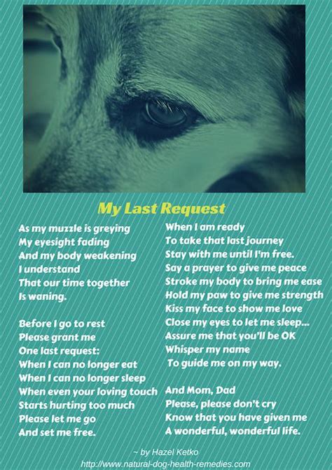 Dog Dying Poems