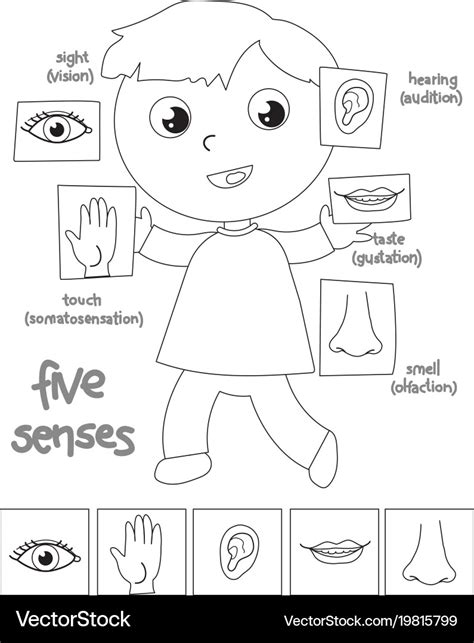 ️My Five Senses Coloring Pages Free Download| Goodimg.co