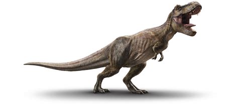 User Blogjacobbrighttyrannosaurus Or Simply T Rex Jurassic Park