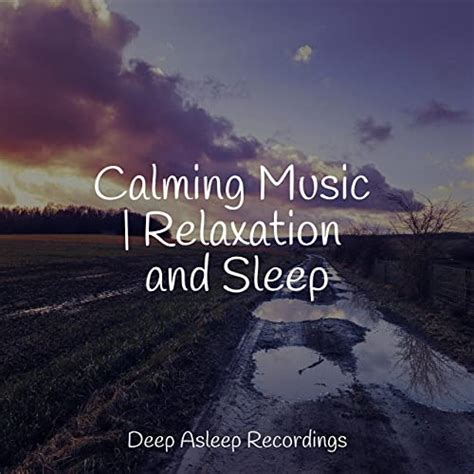 Calming Music Relaxation And Sleep By Avslappning Sound Deep Sleep