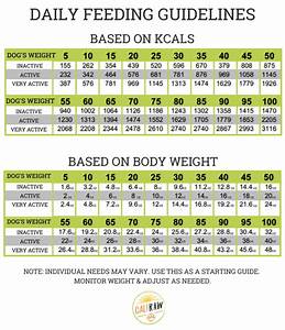 Raw Dog Food Feeding Chart Body Score Chart