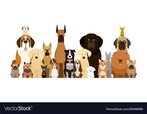 Group Of Dog Breeds Royalty Free Vector Image Vectorstock