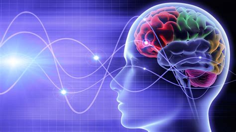 Understanding Your Brainwaves Tracy Alston Optimize Your Mental