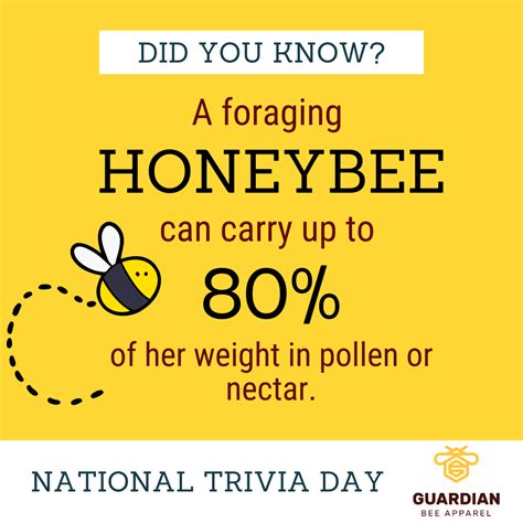 Did You Know This Honeybee Fun Fact 🐝🍯 Guardian Bee Apparel