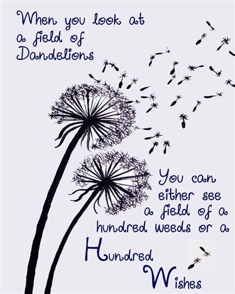 My Wish For You Quotes With Dandelions Quotesgram