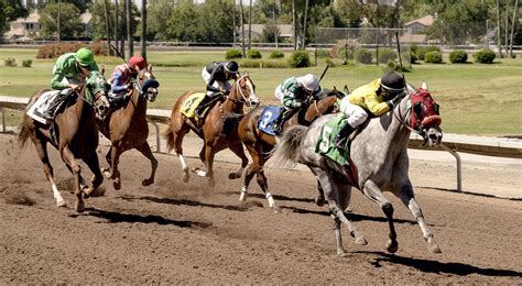 Live Racing Archives  Alameda County Fairgrounds