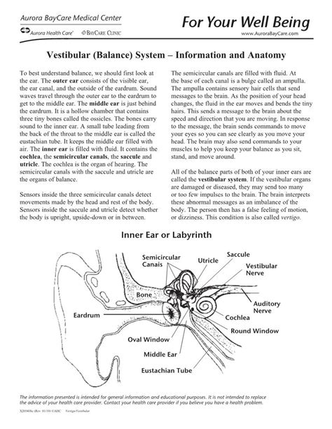 Vestibular Balance System Information And Anatomy Docslib