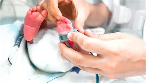 Explore The Pros And Cons Of Being A Neonatal Nurse