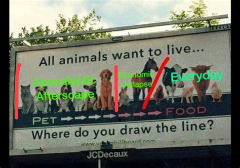 Where do you draw the line? Peta Where Do You Draw The Line