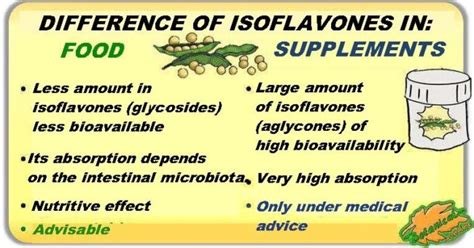 Differences Between Isoflavones From Soy Food And Soy Supplements