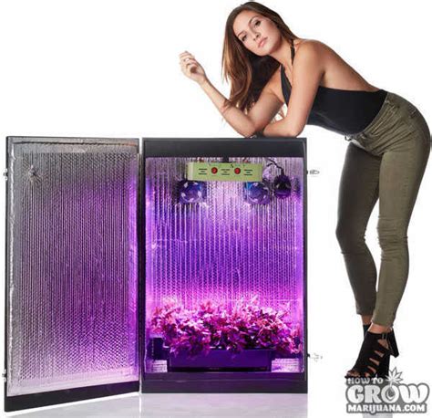 Ghost Cabinet Stealth Grow Box Review Cabinets Matttroy
