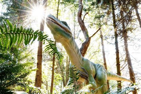 This Immersive Dinosaur Discovery Exhibit Just Opened At The Woodland