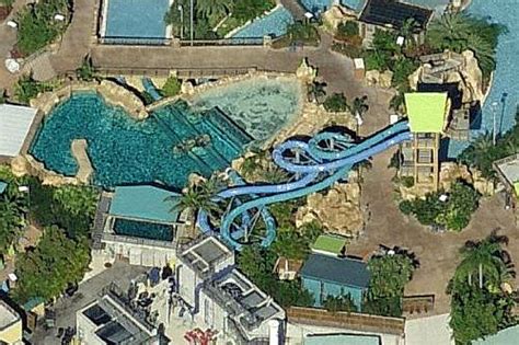 Top View Dolphin Plunge
