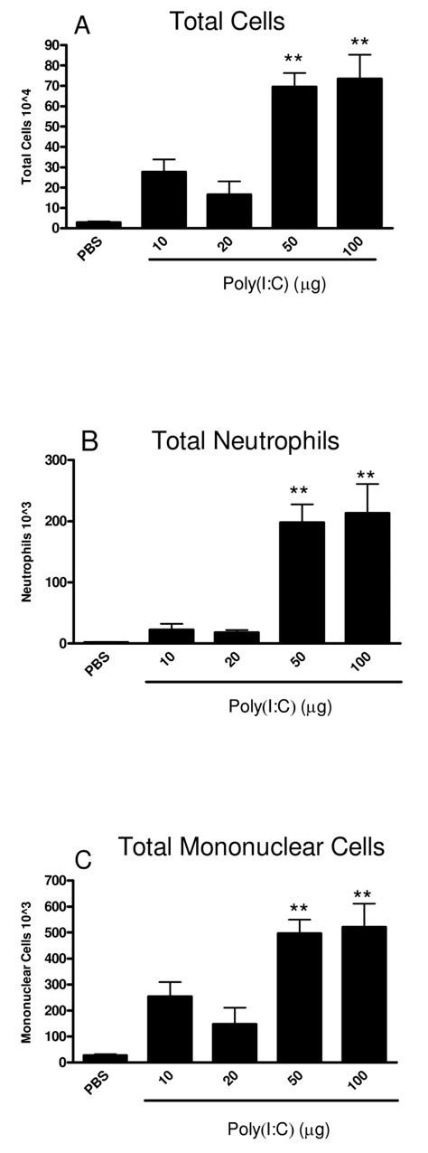 Poly I C Induces A Dose Dependent Influx Of Inflammatory Cells Into Download Scientific
