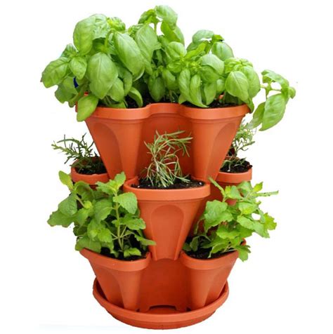 Annuals can grow in flower beds, along borders, in container gardens and hanging baskets. Indoor Herb Garden Planter