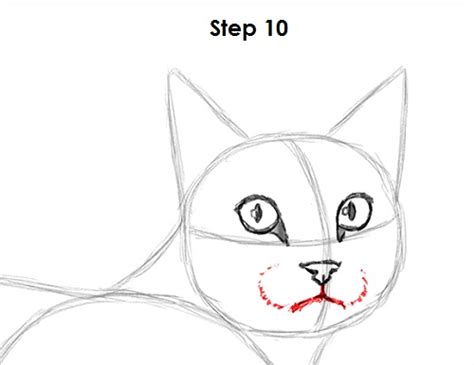 How To Draw A Cat Tabby Video And Step By Step Pictures