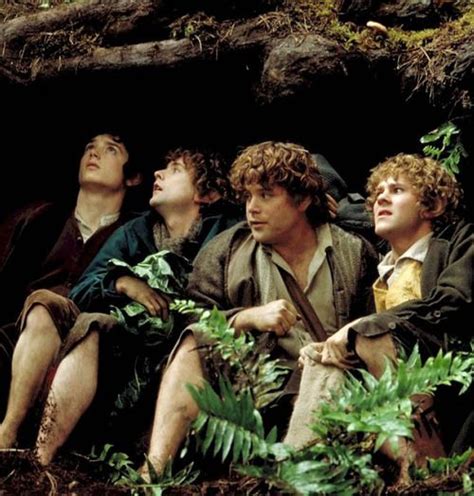 Frodo Pippin Sam And Merry Fellowship Of The Ring The Hobbit
