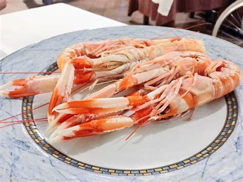 Maps.me harita ve konum dizininden aşağıdaki seçimi yaptınız: Benidorm no está tan mal - Guía Hedonista