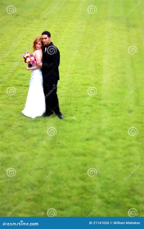 Bride And Groom On Grass Stock Photo Image Of Adult 21141026