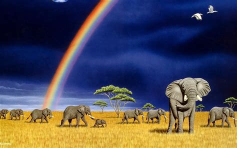 Beautiful Elephants High Resolution Images ~ Hd Wallpapers