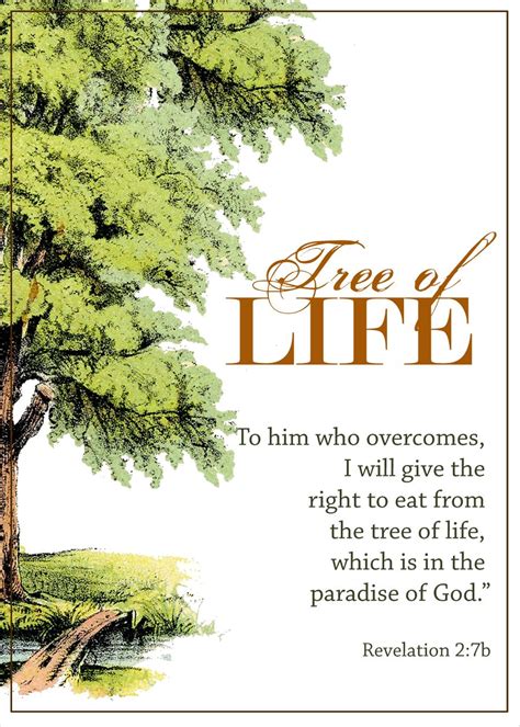 Tree Of Life Quotes Bible Marquerite Armijo