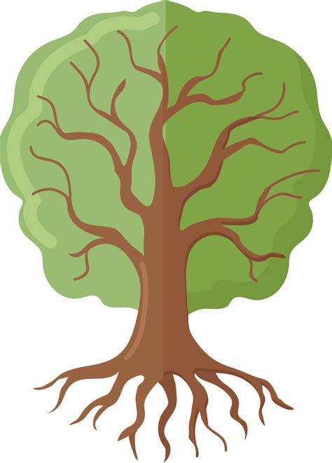 Tree Of Life Clipart Free Download Transparent Png