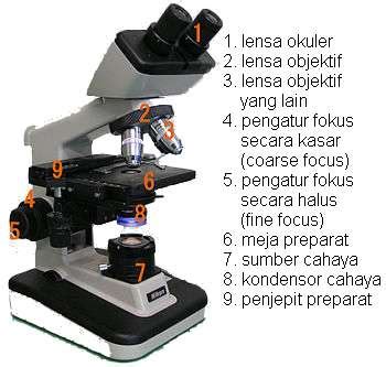 Bagian Bagian Mikroskop Fungsi Dan Cara Menggunakannya