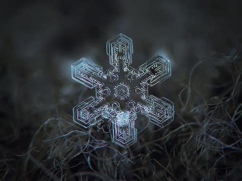 Snowflake Photo Alioth Photograph By Alexey Kljatov Fine Art America