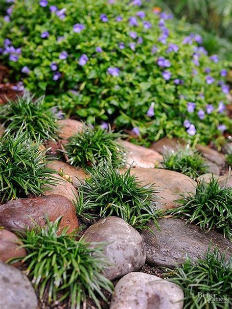 Wonderful Evergreen Grasses Landscaping Ideas 46 Sloped Garden
