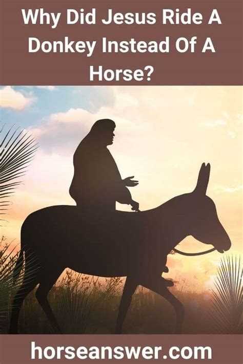 Why Did Jesus Ride A Donkey Instead Of A Horse Find Out Horse Answer