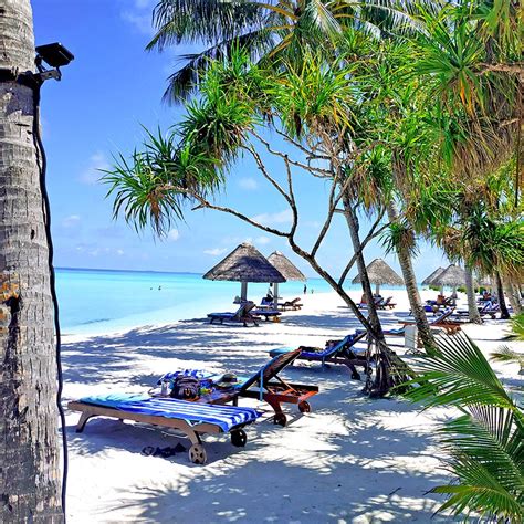 Hotel Sun Island Resort And Spa Malediwy Oferty I Opinie W Travelplanetpl