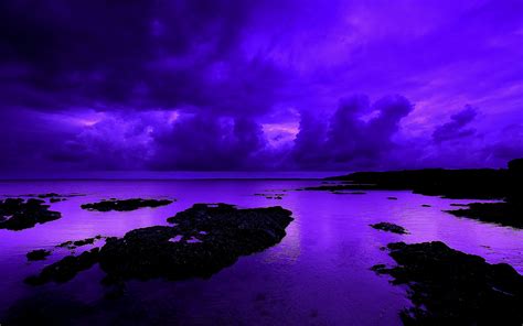 Purple Nature Wallpapers Wallpapers Top Free Purple
