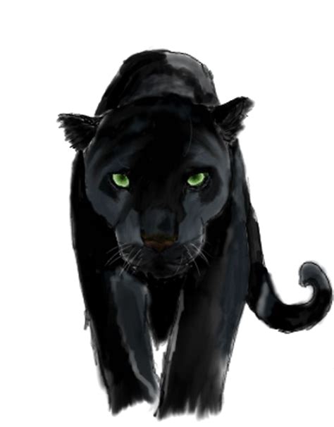 Panther Transparent Background