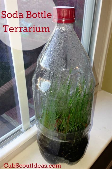 How To Make A Terrarium Out Of A Soda Bottle ~ Cub Scout Ideas
