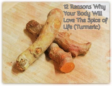 12 Reasons Why Your Body Will Love The Spice Of Life Turmeric Moms Thumb
