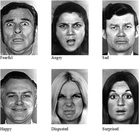 Ekman Facial Expressions Chart