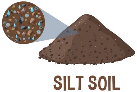 260 Silt Soil Stock Illustrations Royalty Free Vector Graphics And Clip