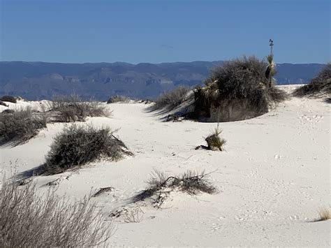 Maybe you would like to learn more about one of these? White Sands National Park,New Mexico - NationalParksTrails