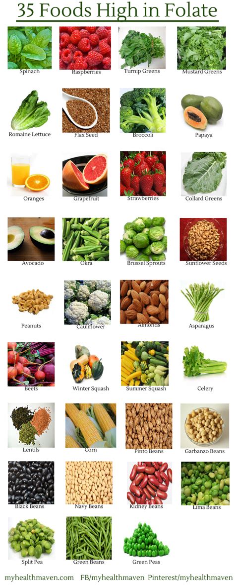35 Foods High In Folate My Health Maven