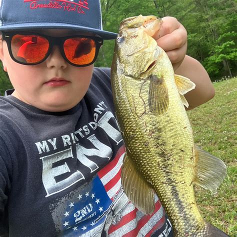 Plum Orchard Lake Fishing Reports🎣• Beckley Wv United States Fishing