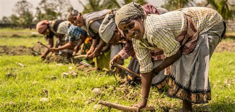 12 Extraordinary Facts About Rural Development