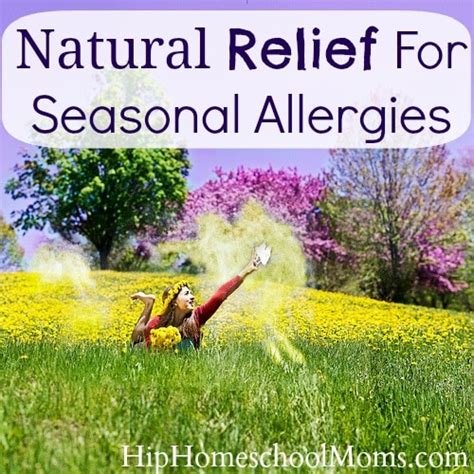 natural relief for seasonal allergies natural remedies mom